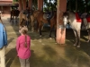 Lucy explains the drill
