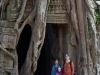 My trees don\'t look like this at home