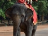 Riding an elephant